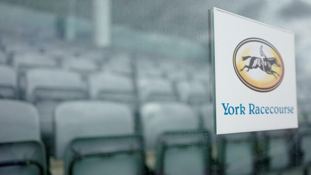 York 
